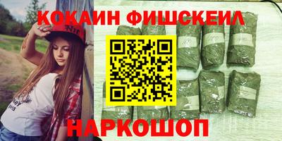 гашик Гай