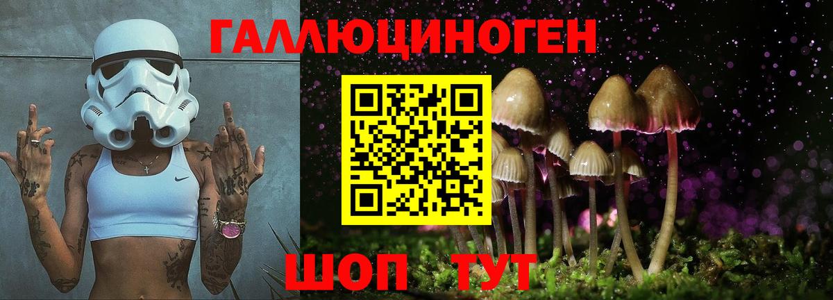 Галлюциногенные грибы GOLDEN TEACHER Канаш